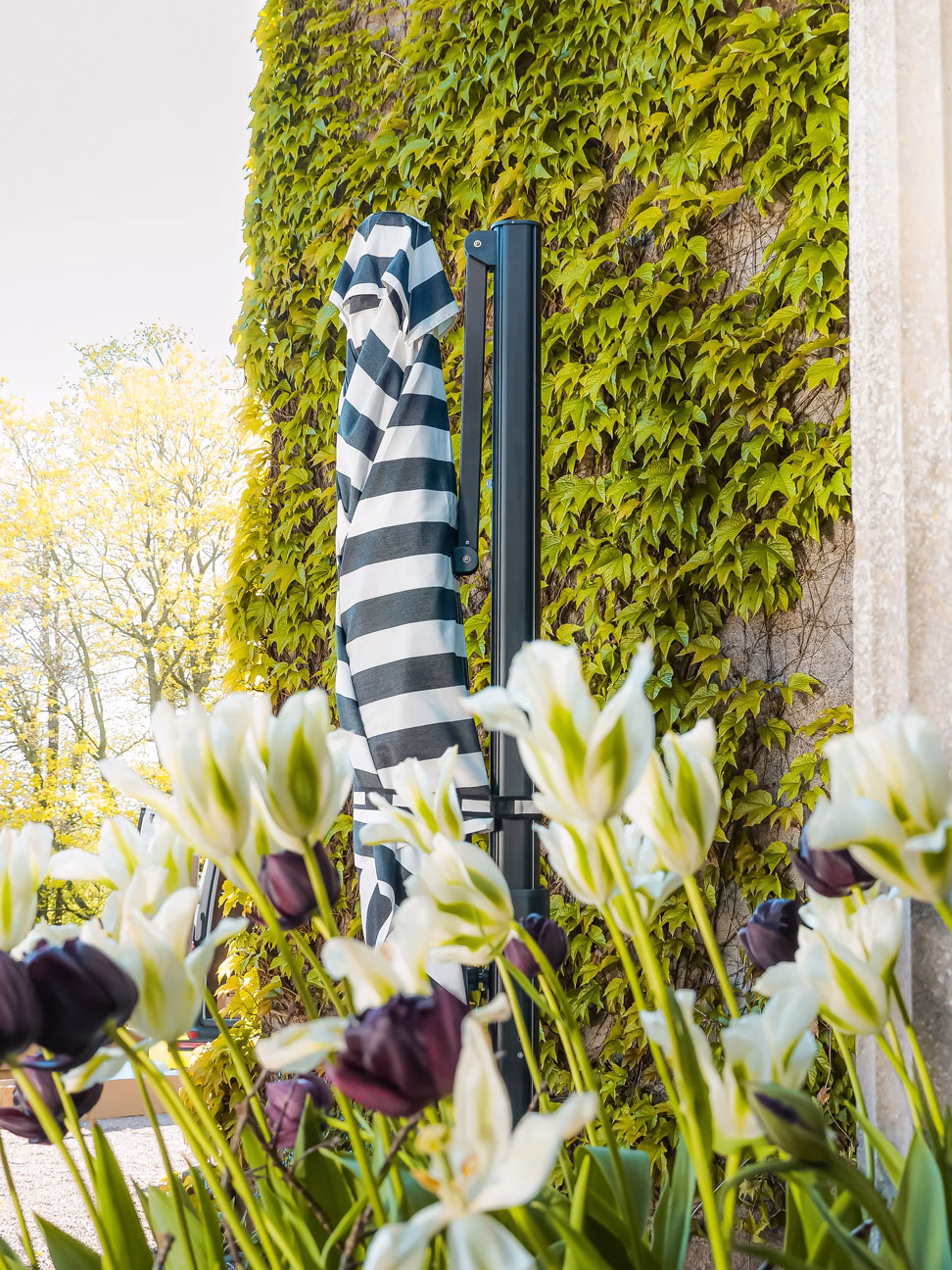 3m Square Cantilever Parasol - Eclipse